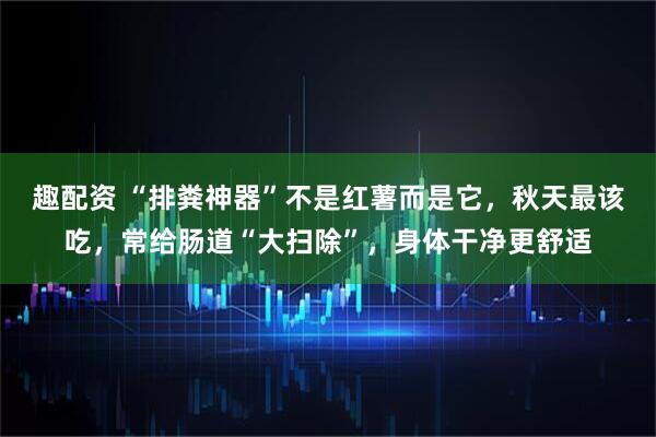 趣配资 “排粪神器”不是红薯而是它,秋天最该吃,常给肠道“大扫除”,身体干净更舒适